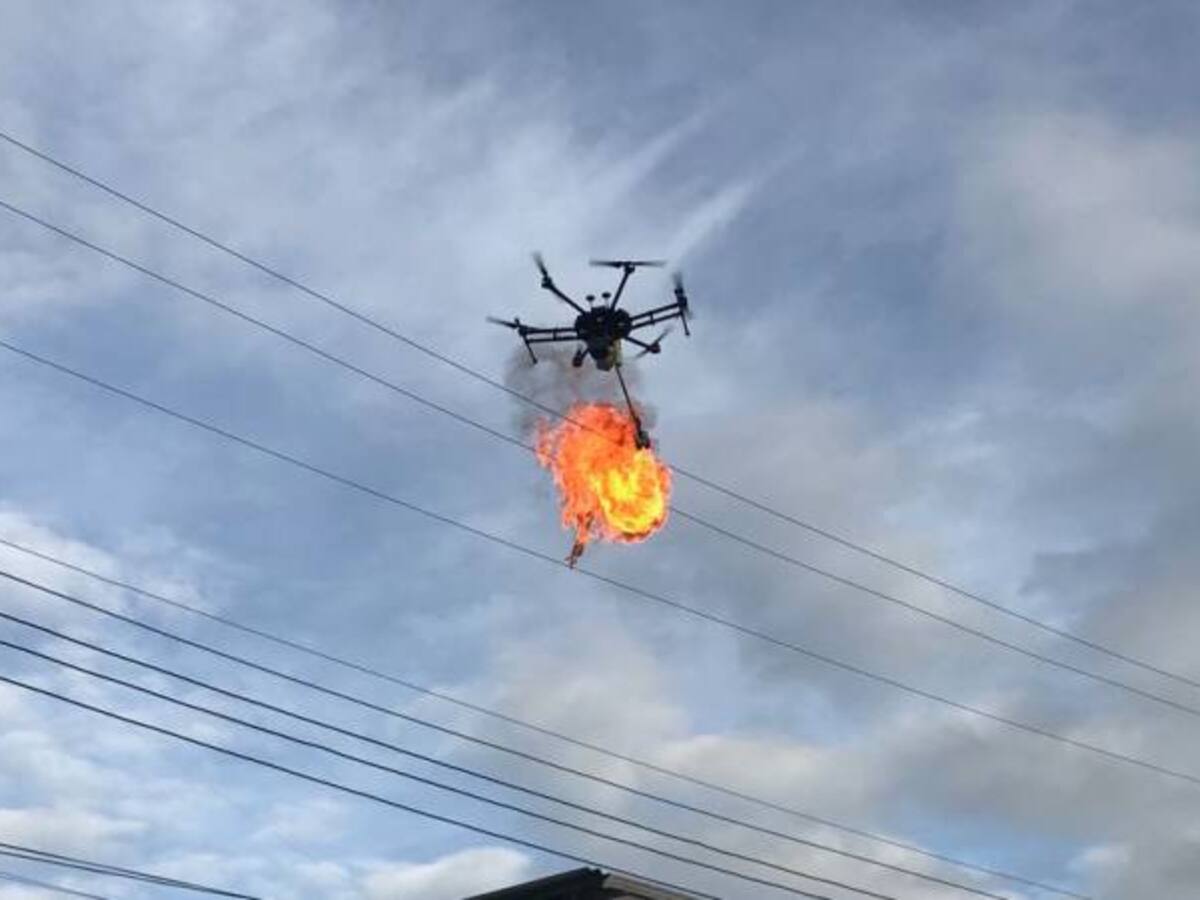 En los zapatos de quienes bajan cometas del cableado eléctrico