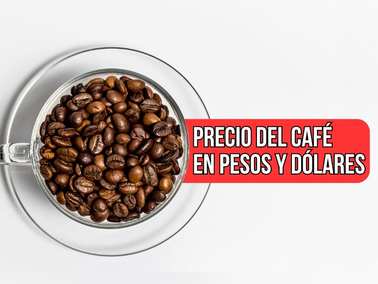Precio del café hoy