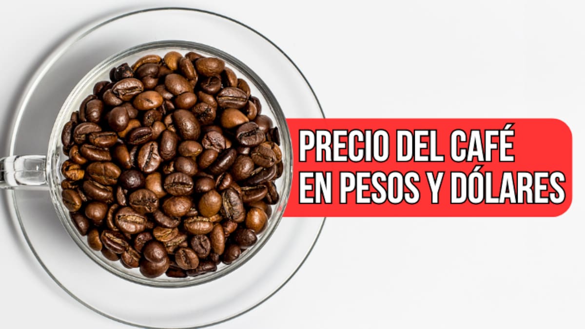 Precio café HOY 3 de septiembre: Costo de la carga, según Federación Nacional de Cafeteros