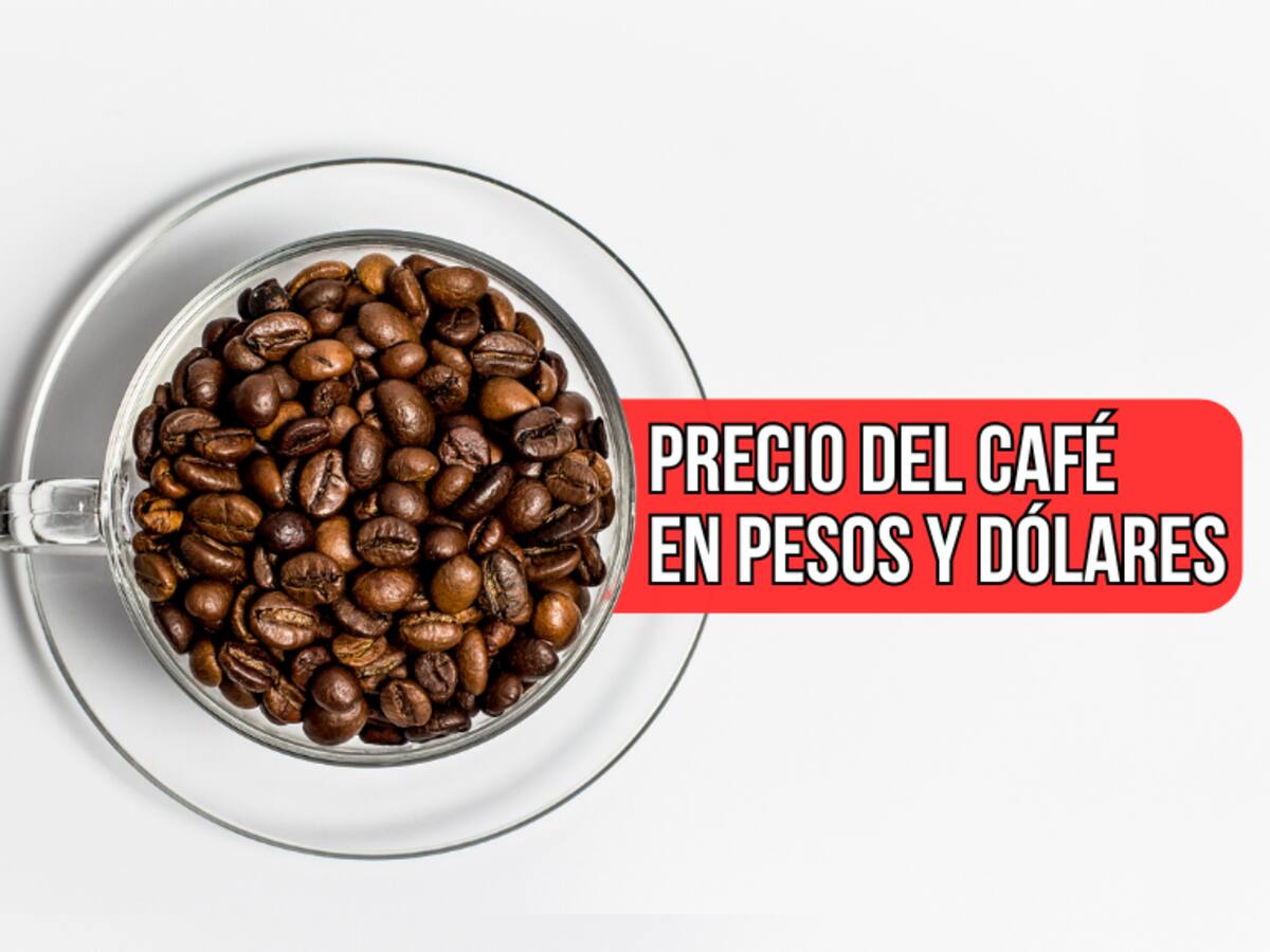 Precio café HOY 3 de septiembre: Costo de la carga, según Federación Nacional de Cafeteros