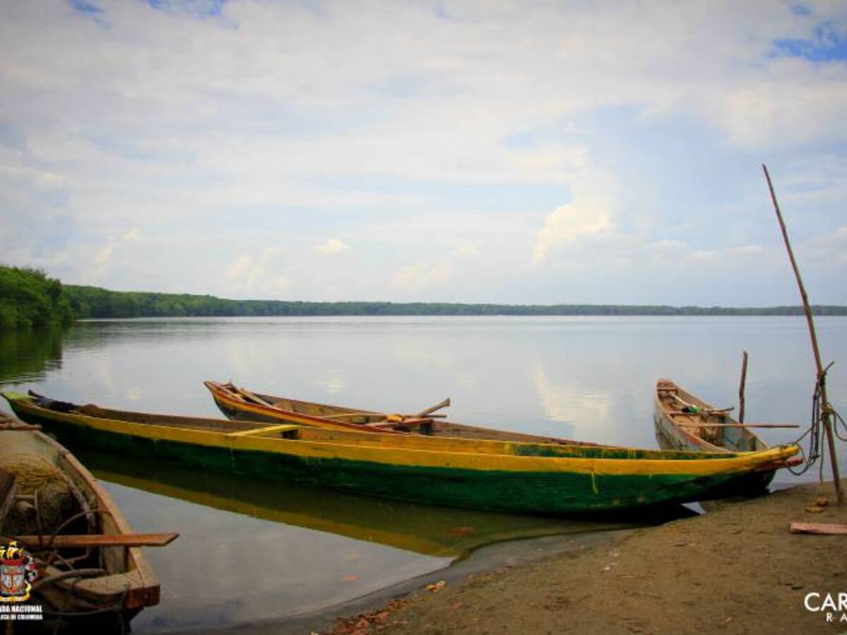Denuncian desplazamiento ambiental en la Ciénaga Grande
