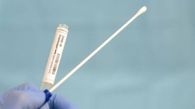 Imagen de referencia