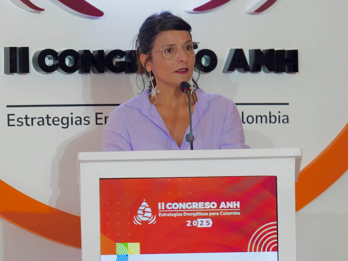 MinAmbiente busca que parte de la Amazonía sea Zona de Reserva de Recursos Naturales Renovables