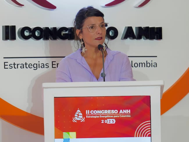 Wilder García / Minambiente