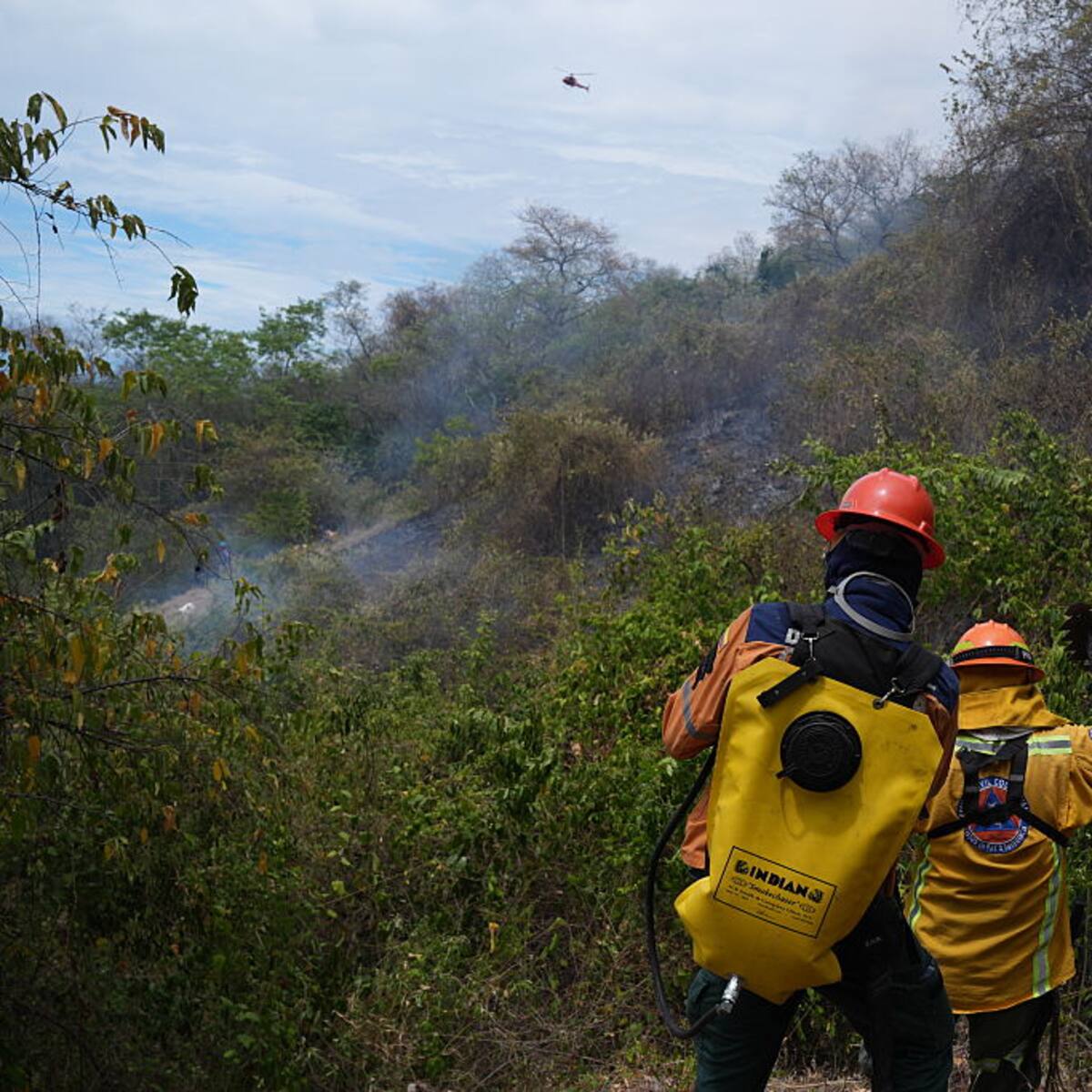Incendios que hemos controlado vuelven a encenderse, no hay explicación: gobernadora Tolima