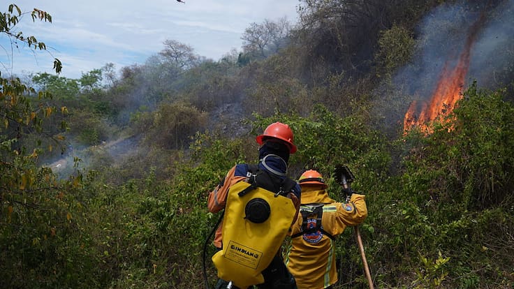 “Tolima tiene tres incendios en doce municipios”: gobernadora Adriana Matiz