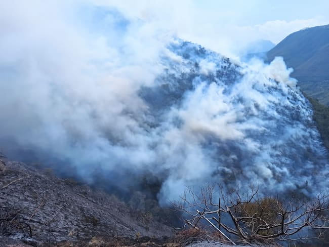Grave incendio forestal en el municipio de Chitagá ha consumido 300 hectáreas