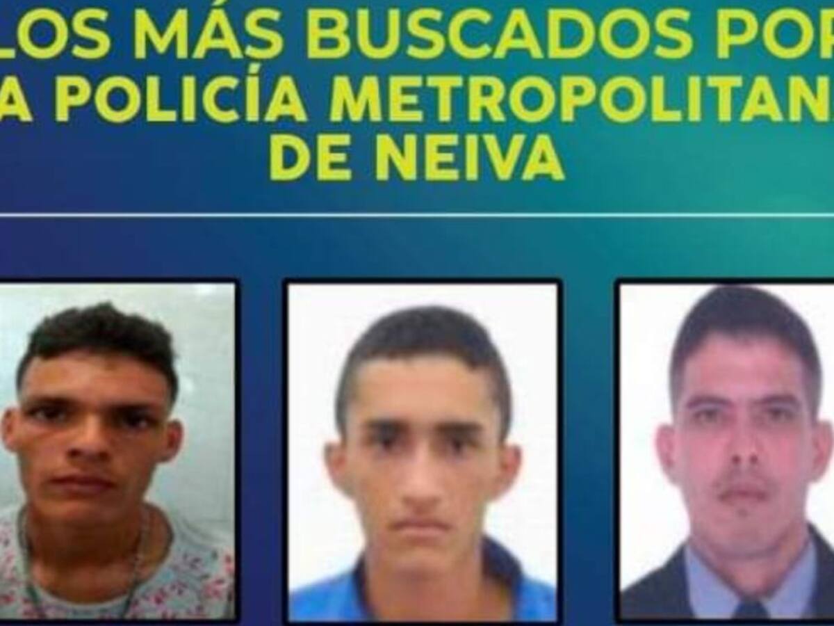 Estos son los más buscados en Neiva