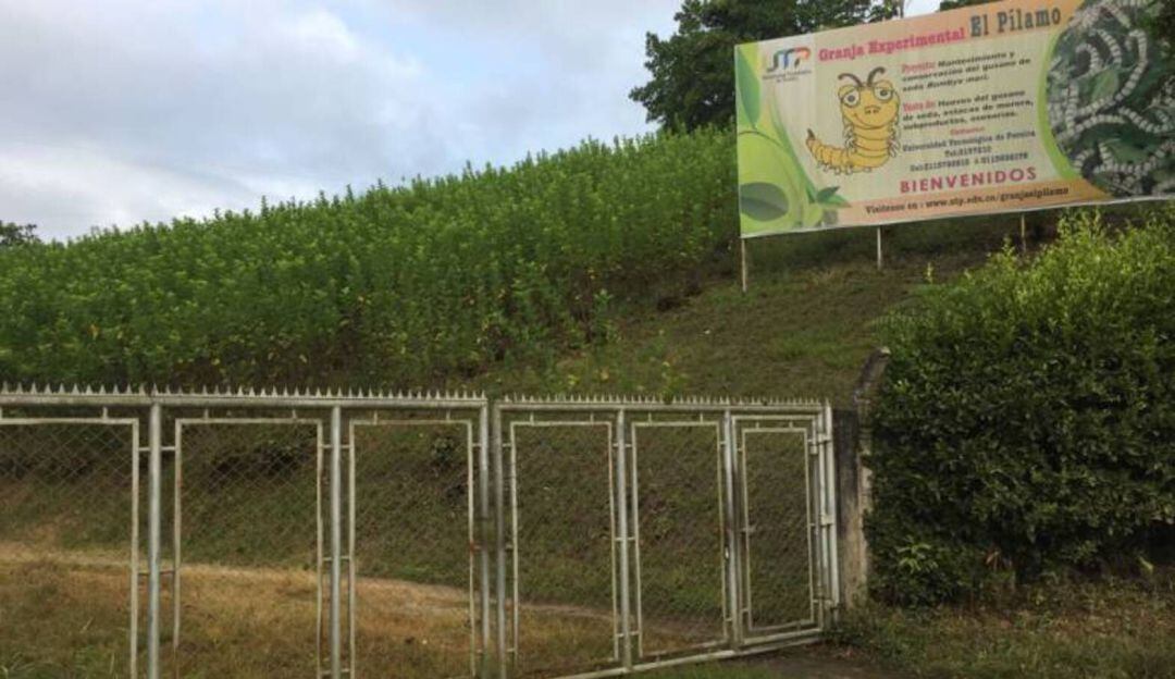 Foto: archivo Caracol Radio.