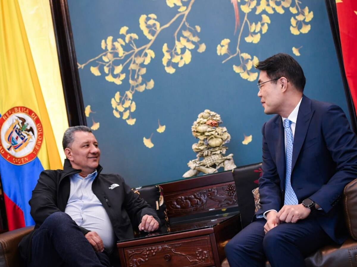 Tolima afianza lazos con el gobierno Chino