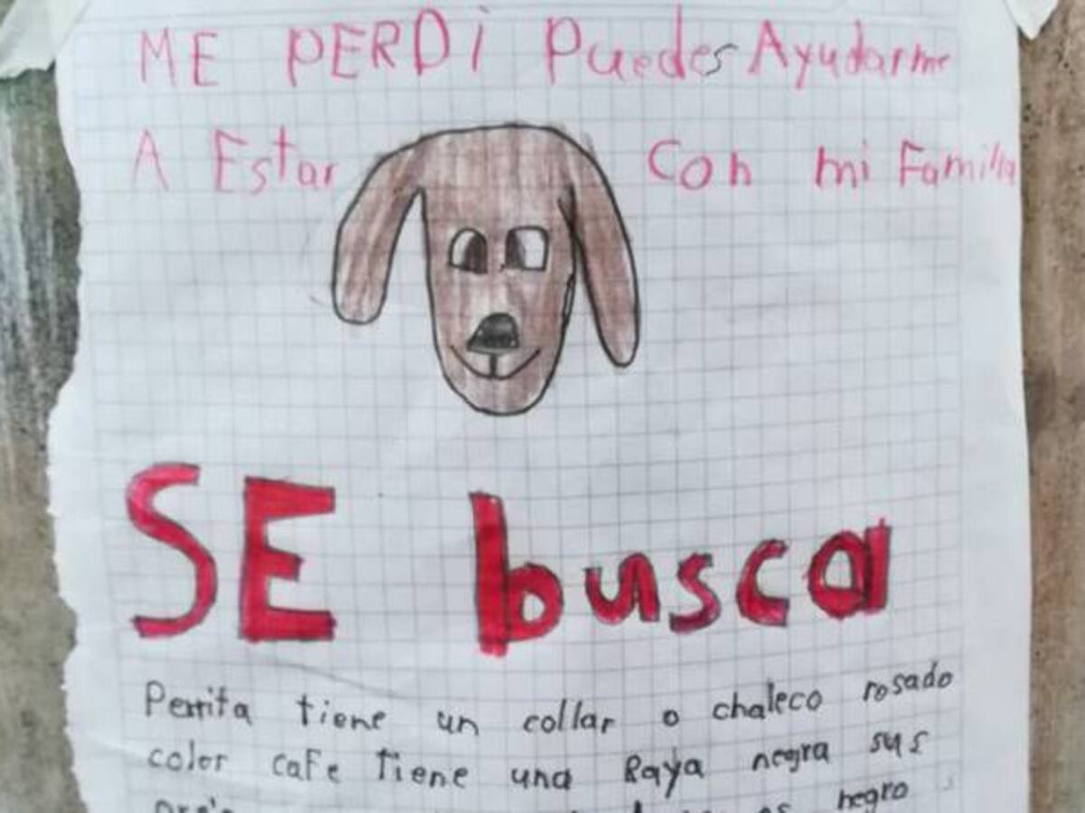 El tierno cartel con el que un niño buscó a su perrita perdida en Tunja
