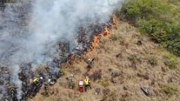 Cerca de 600 hectáreas consumidas por el fuego.