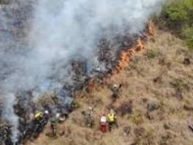 Cerca de 600 hectáreas consumidas por el fuego.