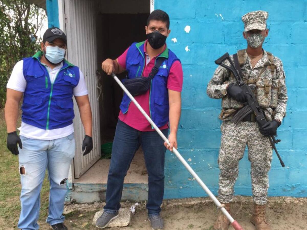 Armada rescató oso hormiguero en carretera transitada