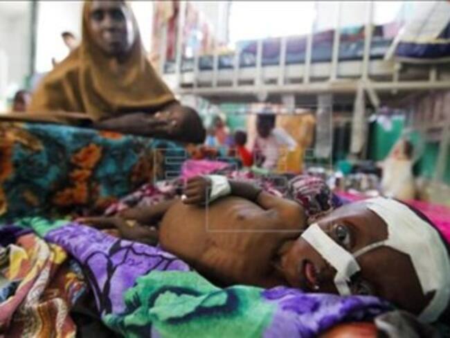 Unas 258.000 personas murieron de hambre en la sequía somalí de 2011 y 2012