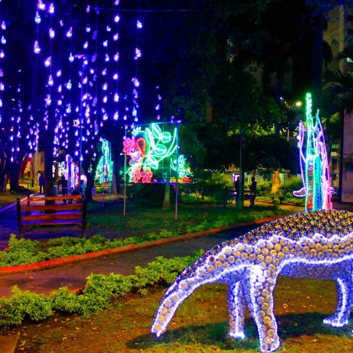 El 30 de noviembre estará listo el alumbrado navideño en Bucaramanga