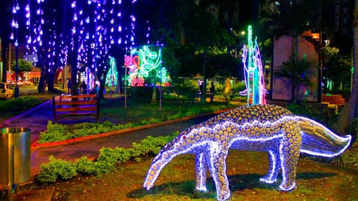 El 30 de noviembre estará listo el alumbrado navideño en Bucaramanga
