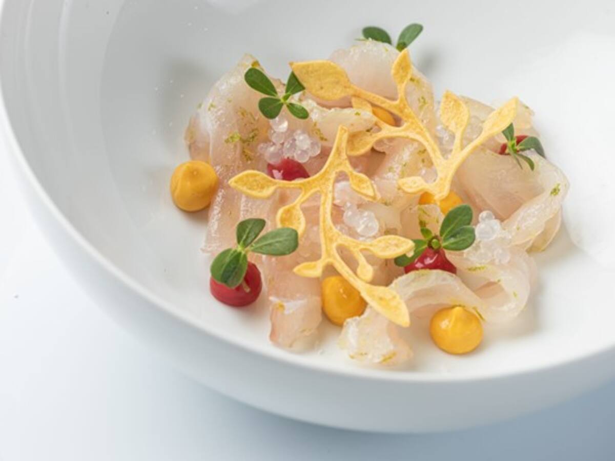 El chef colombiano Estrella Michelin Guido Niño llega a Cartagena