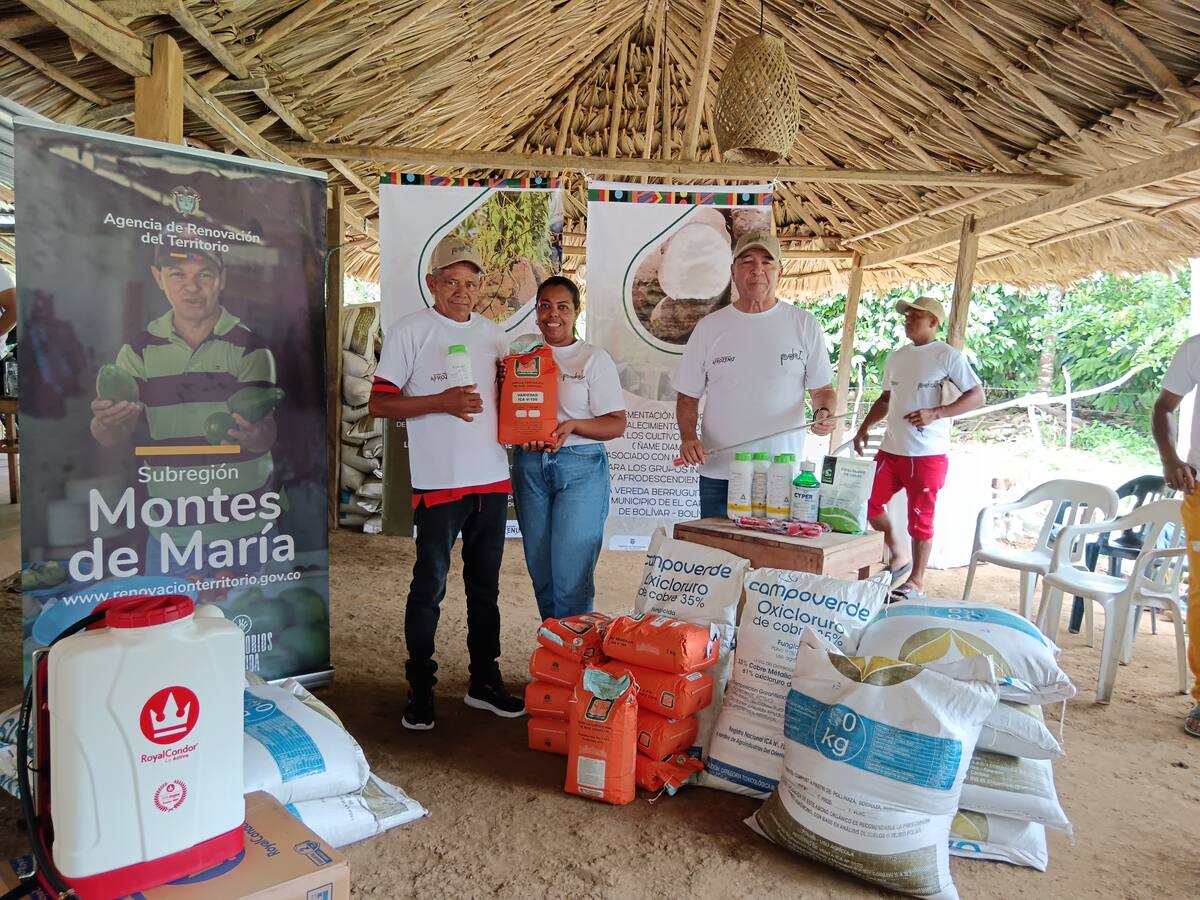 Vereda Berruguita en Bolívar escribe nueva historia con siembra de ñame