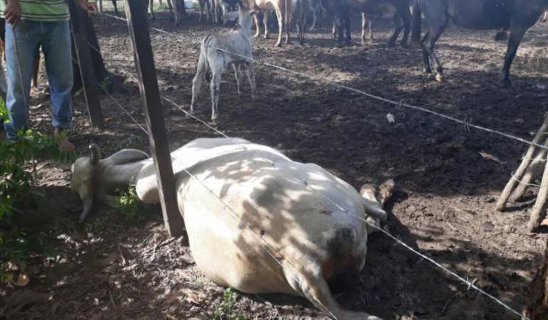 Campesinos piden planes de contingencia para el abastecimiento de agua.