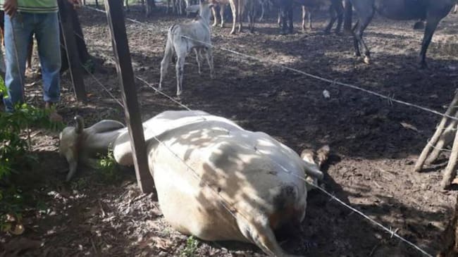 Campesinos piden planes de contingencia para el abastecimiento de agua.