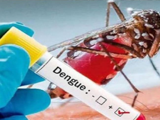 Confirman tres casos de muerte por dengue en Santander