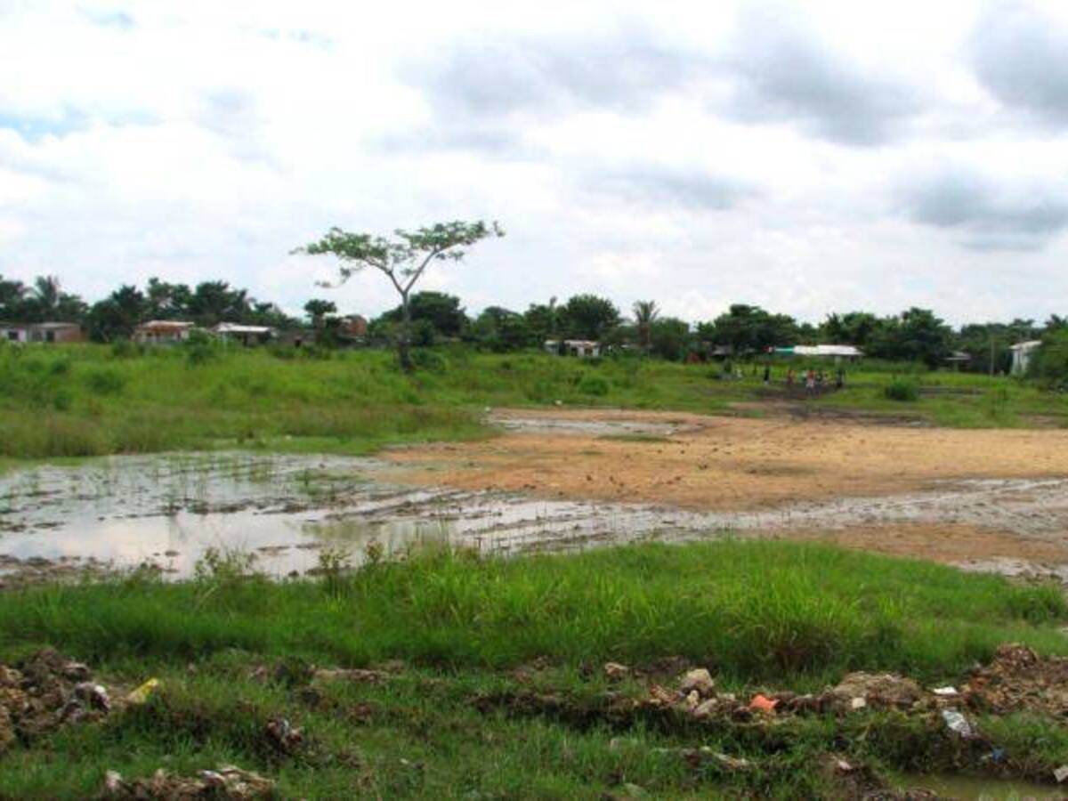 Farc le hicieron "conejo" al proceso de paz: Supernotariado