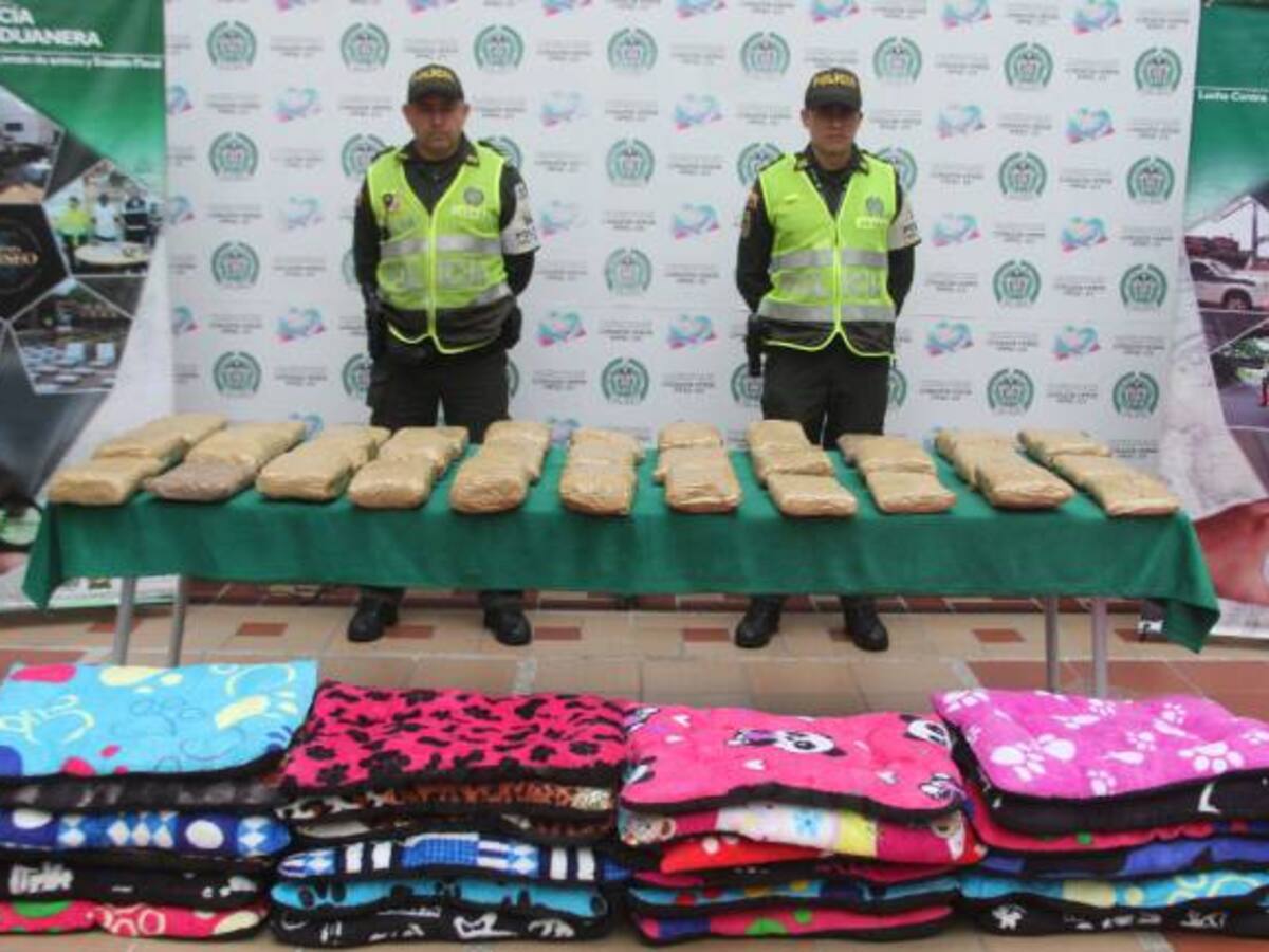 Del Valle llegó una encomienda con marihuana cripy