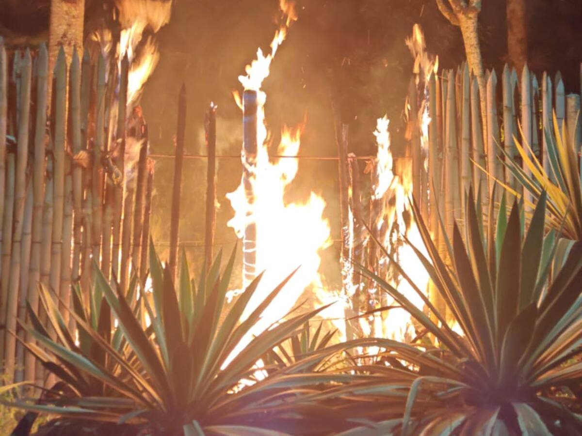 Volador de pólvora provocó conato de incendio en el Jardín Botánico del Quindío