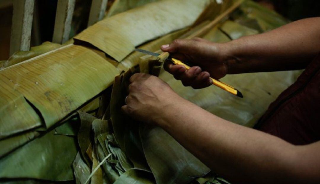 Hojas de cachaco para envolver tamales