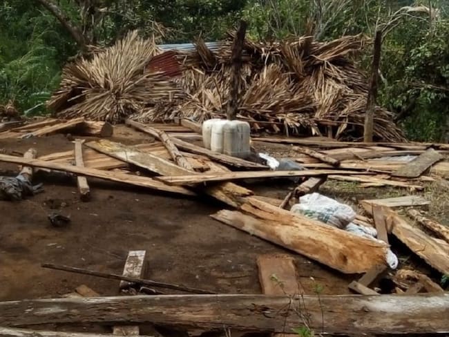 Pobladores aseguraron que también hubo afectaciones en 300 hectáreas de cultivos en veredas de la alta montaña