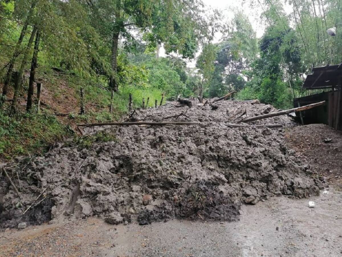 Deslizamientos afectan la vía Dantas – Cocora en Ibagué