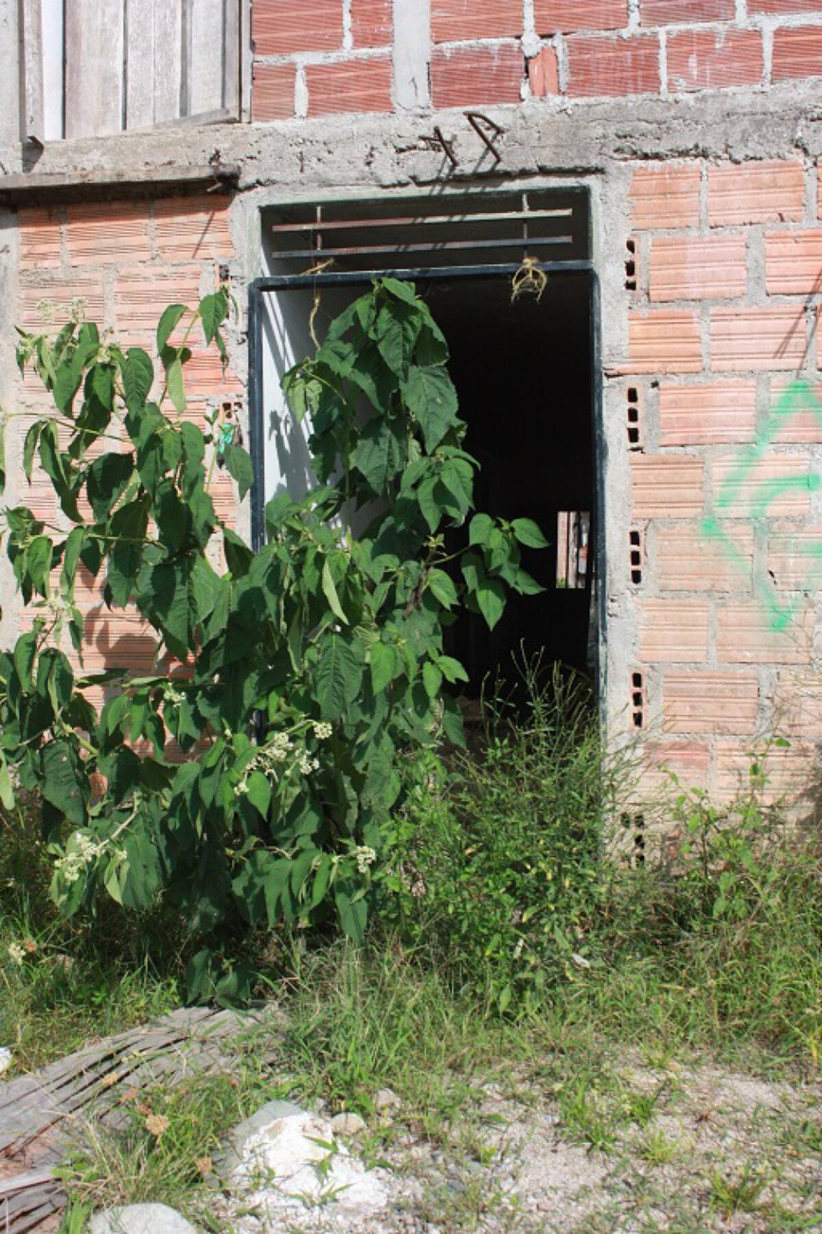 La mayoría se cansó de esperar y resolvió sus dificultades en el mismo sitio que arrancó su tragedia, en sus casas.
