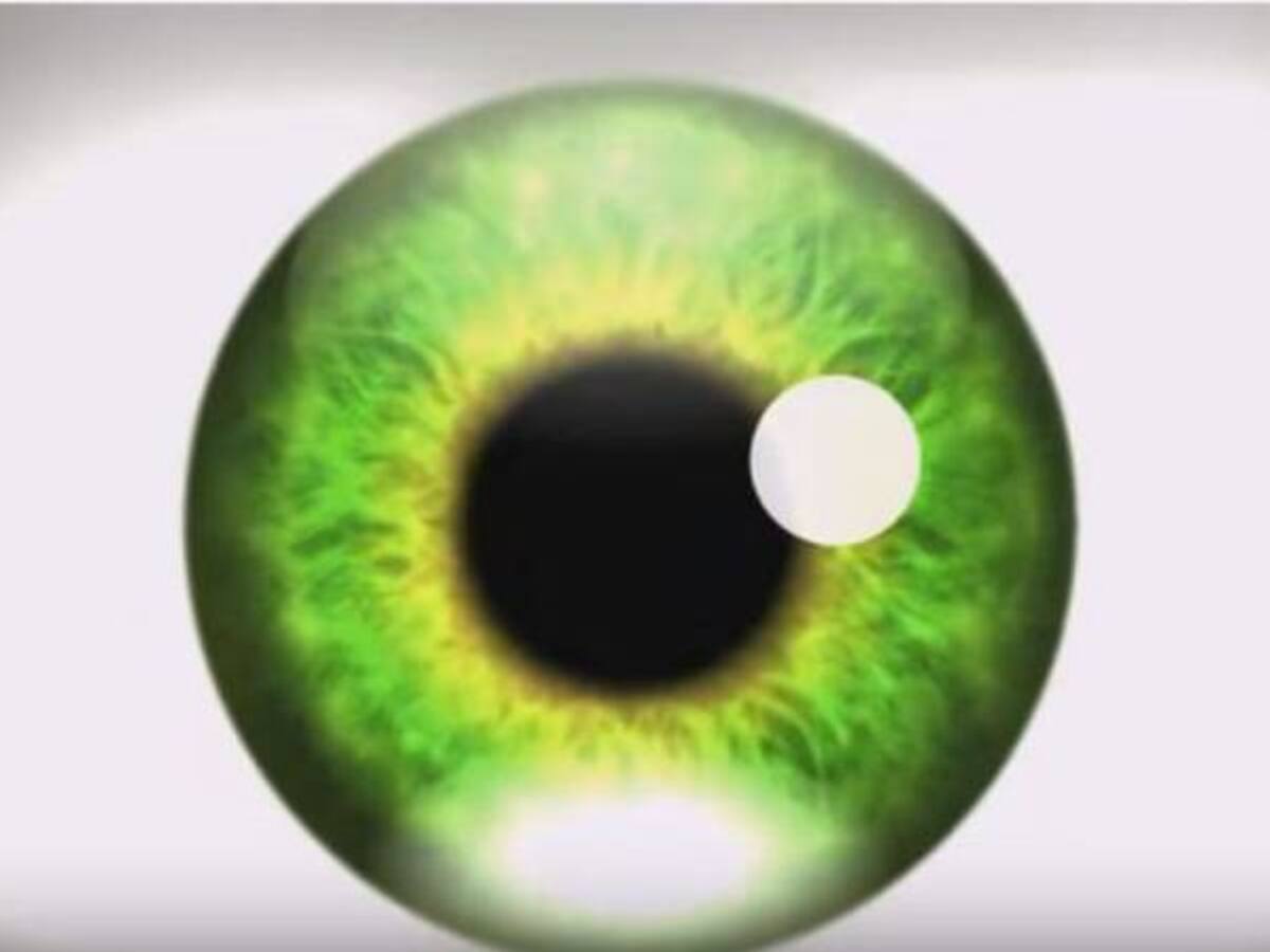 El video que causa "alucinaciones" y se vuelve viral