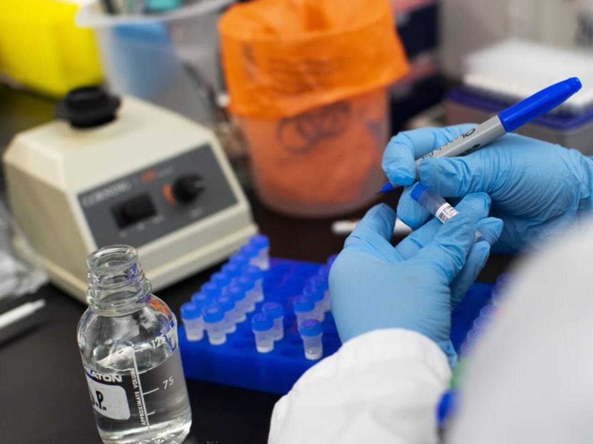 Gremios del Atlántico piden al gobierno agilizar reactivos a Barranquilla