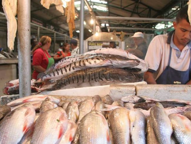 A medias llegó la subienda de pescado en Antioquia