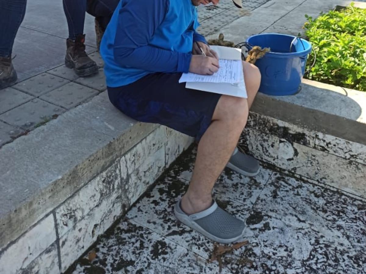 Mortandad de peces en zona norte fue por poca oxigenación: Cardique