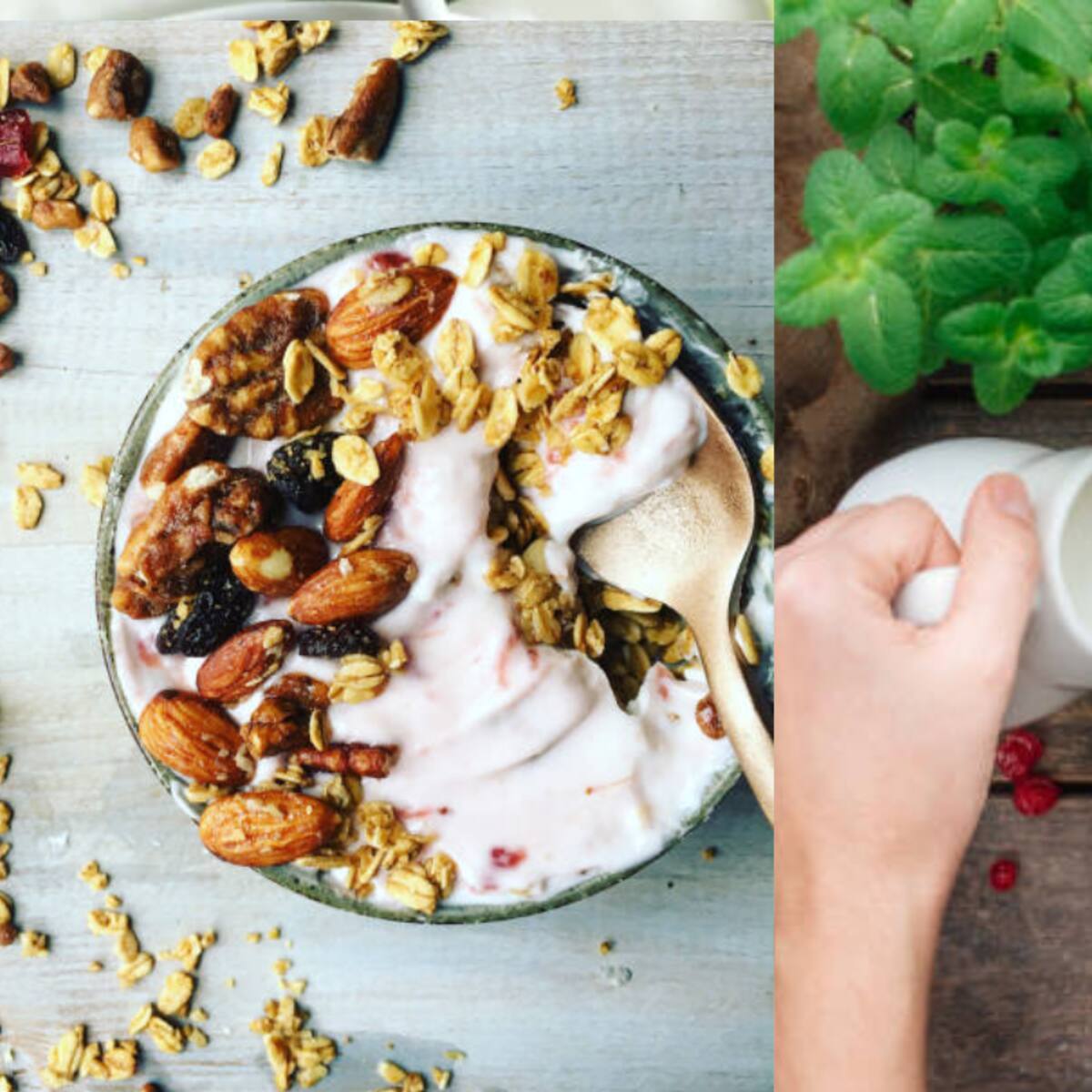 Es más saludable el cereal con leche o con yogurt: Valor nutricional en cada caso