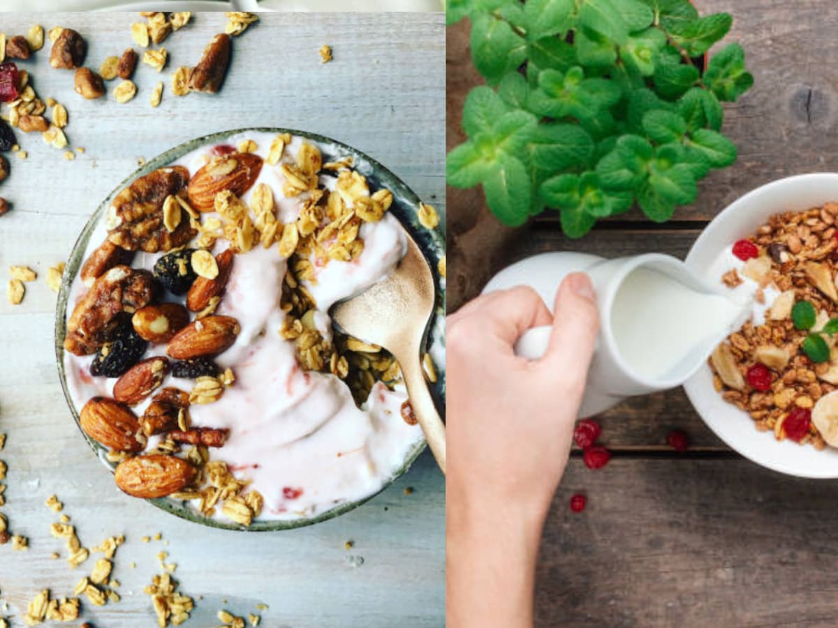 Es más saludable el cereal con leche o con yogurt: Valor nutricional en cada caso