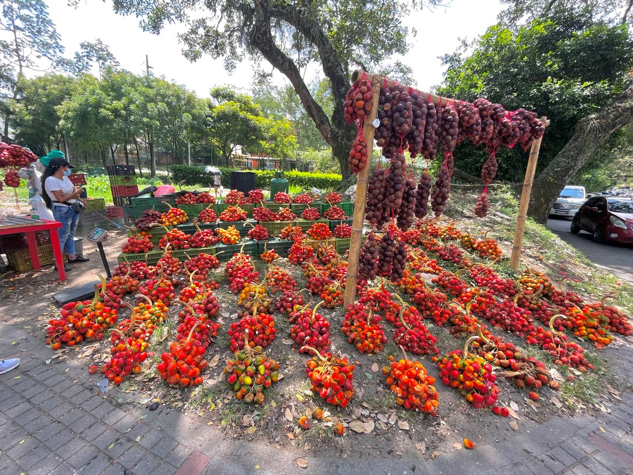 Venta de Chontaduro ocupando espacio público en Ibagué