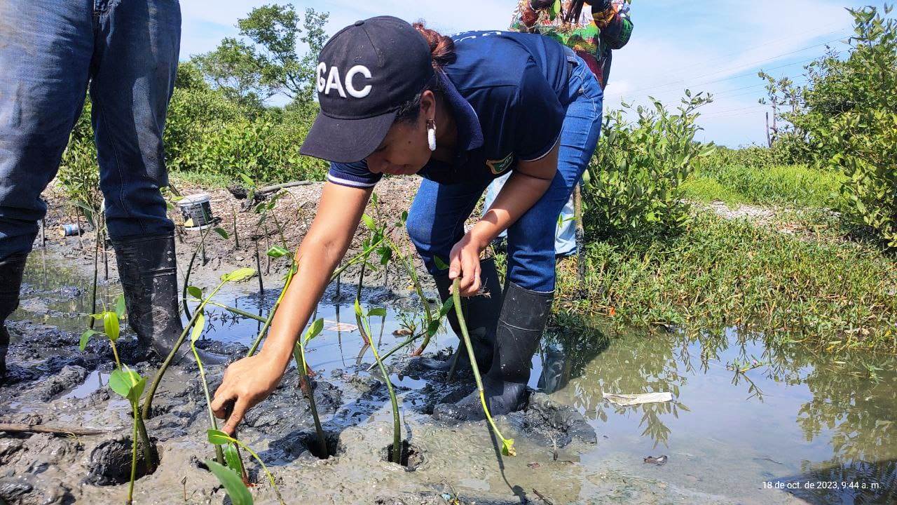 Guardia Ambiental
