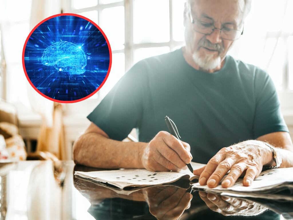 Hombre resolviendo acertijos y juegos mentales y de fondo la ilustración de un cerebro (Fotos vía Getty Images)