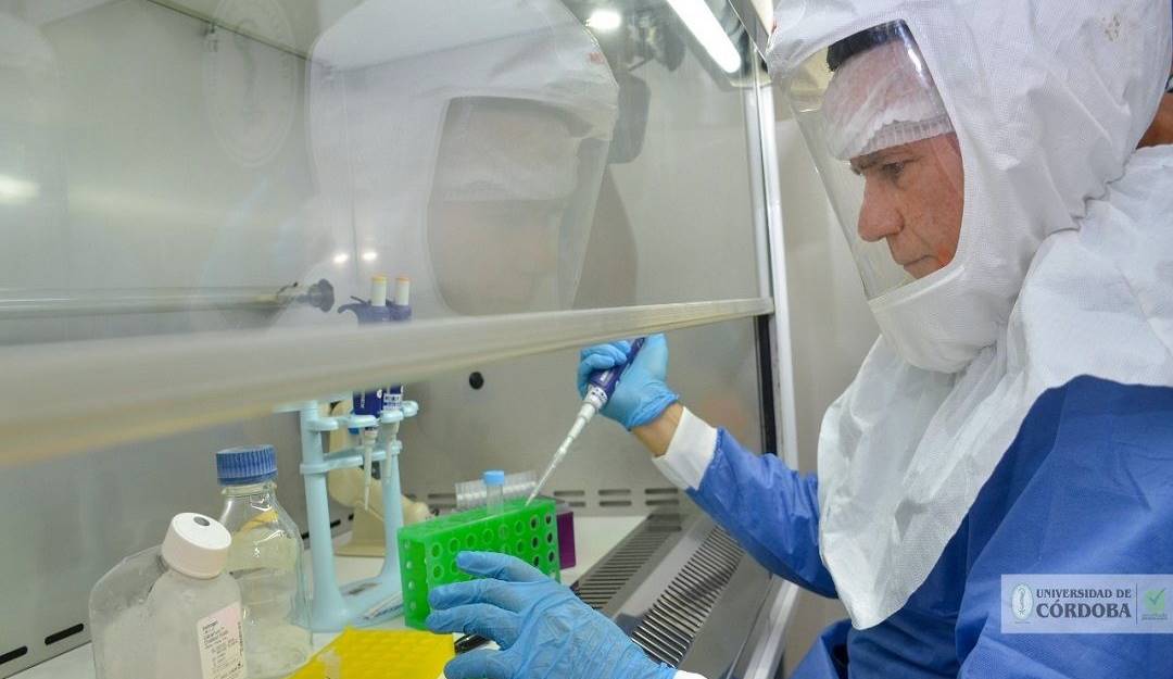 Salim Mattar Velilla