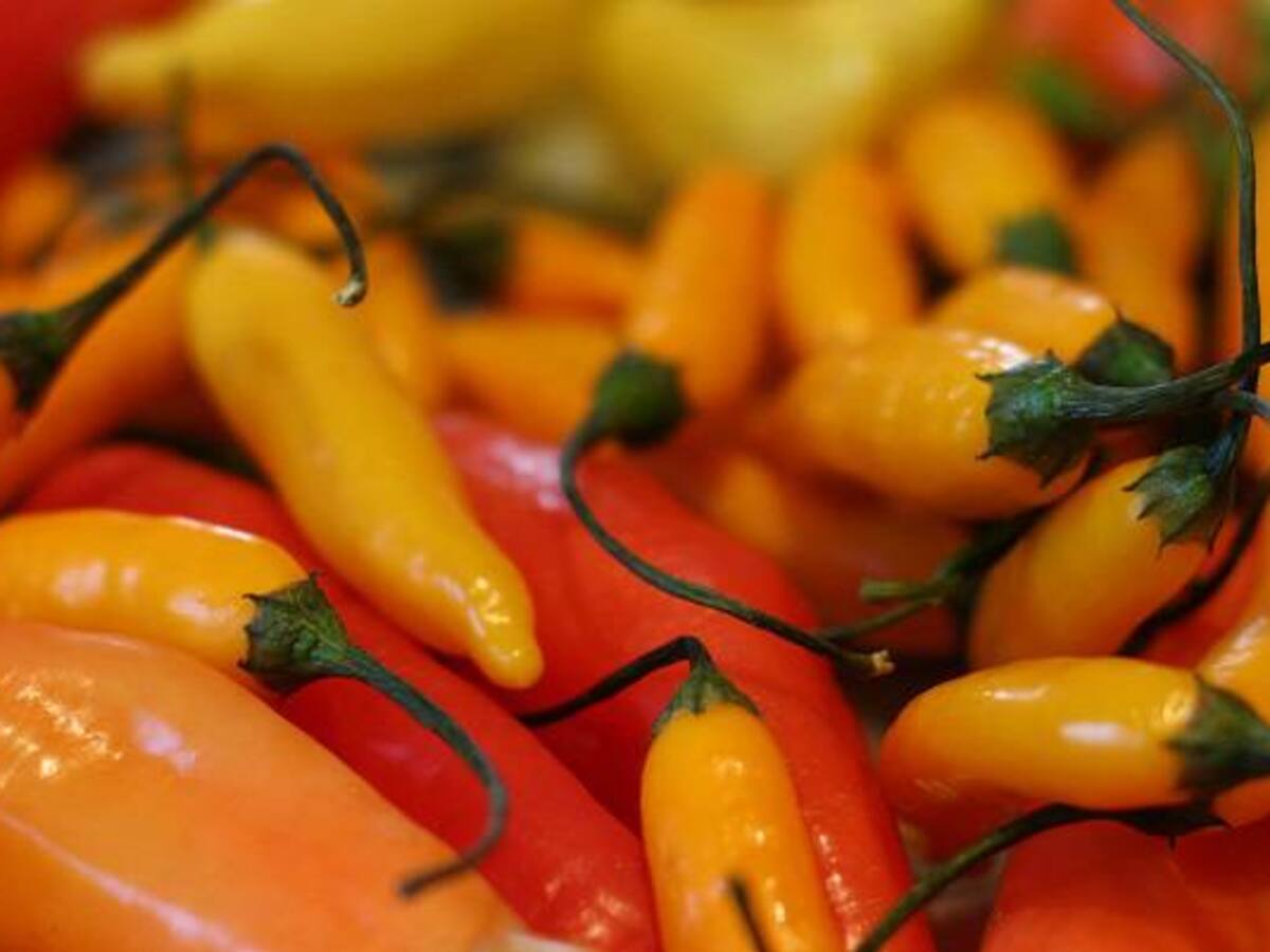 Beneficios y mitos del ají