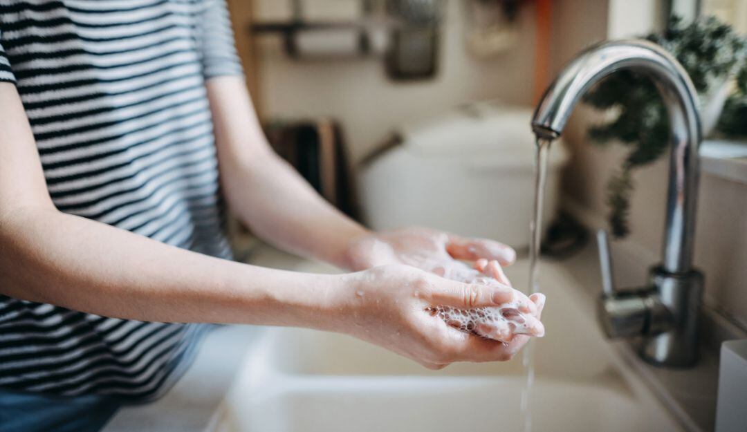 Imagen de referencia