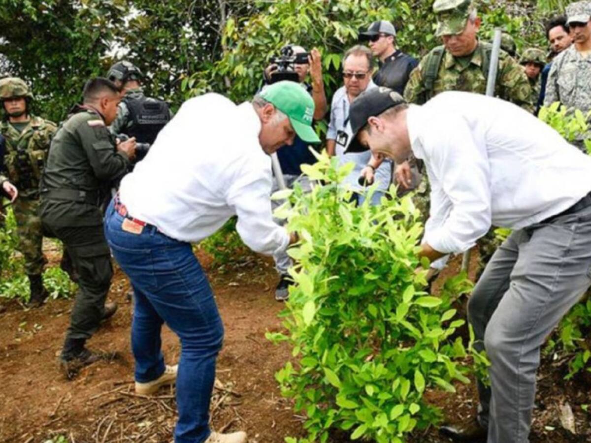 Duque no descarta uso de glifosato para erradicación de cultivos ilícitos