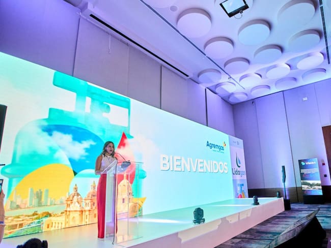 Imagen de referencia.