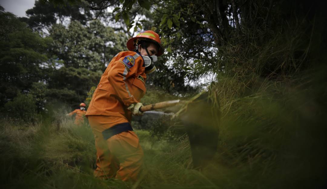 Control de incendios forestales. Foto: Colprensa.