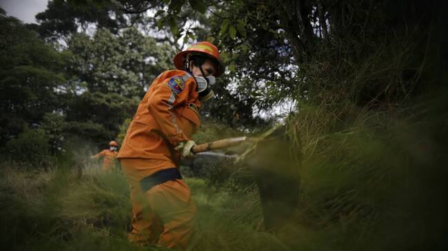 Control de incendios forestales. Foto: Colprensa.