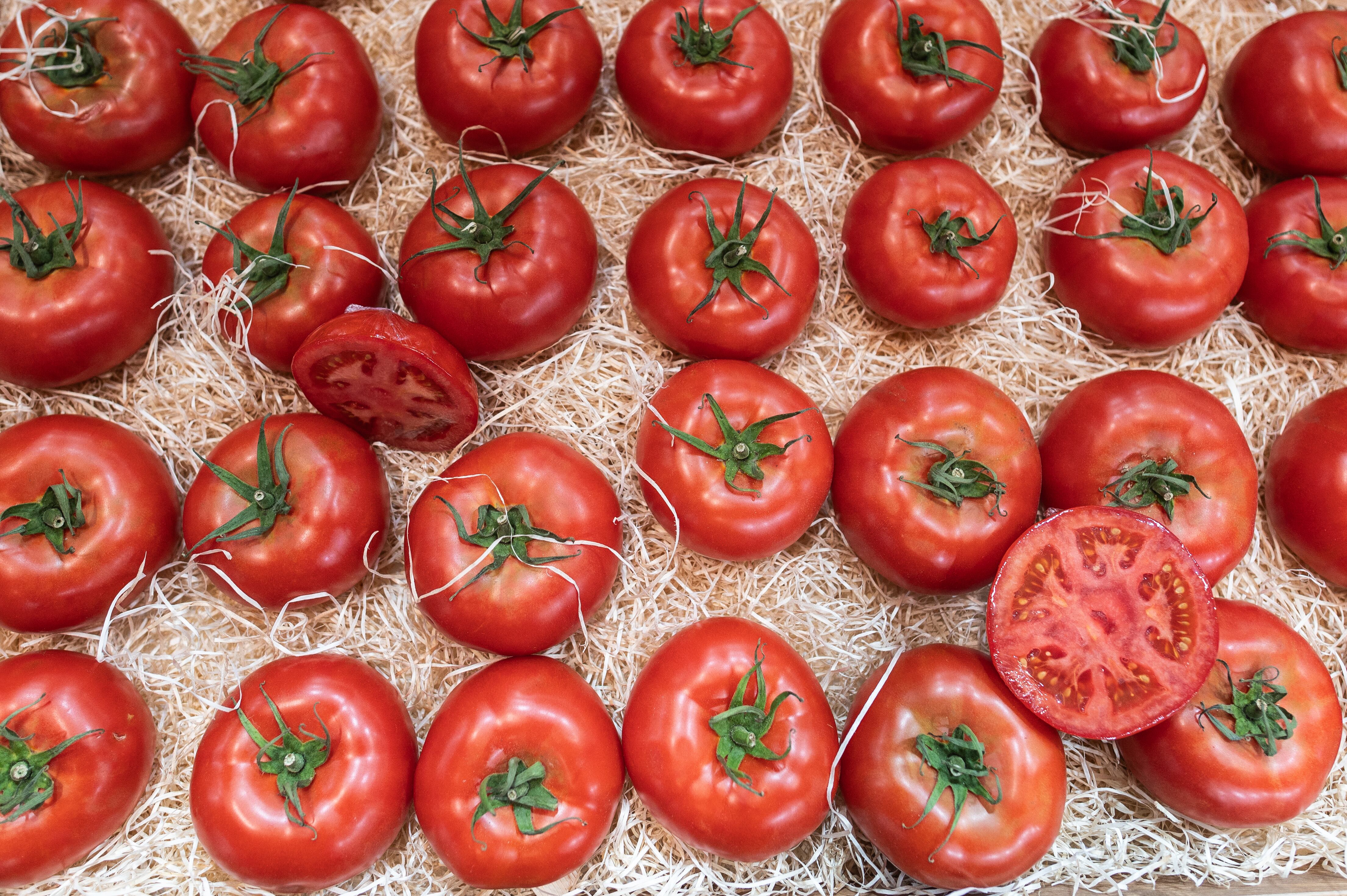 Imagen de referencia de tomates/ Getty images